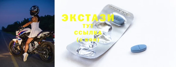 хмурый Гусь-Хрустальный