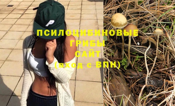 героин Лагань
