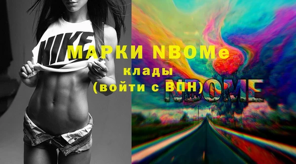 хмурый Гусь-Хрустальный
